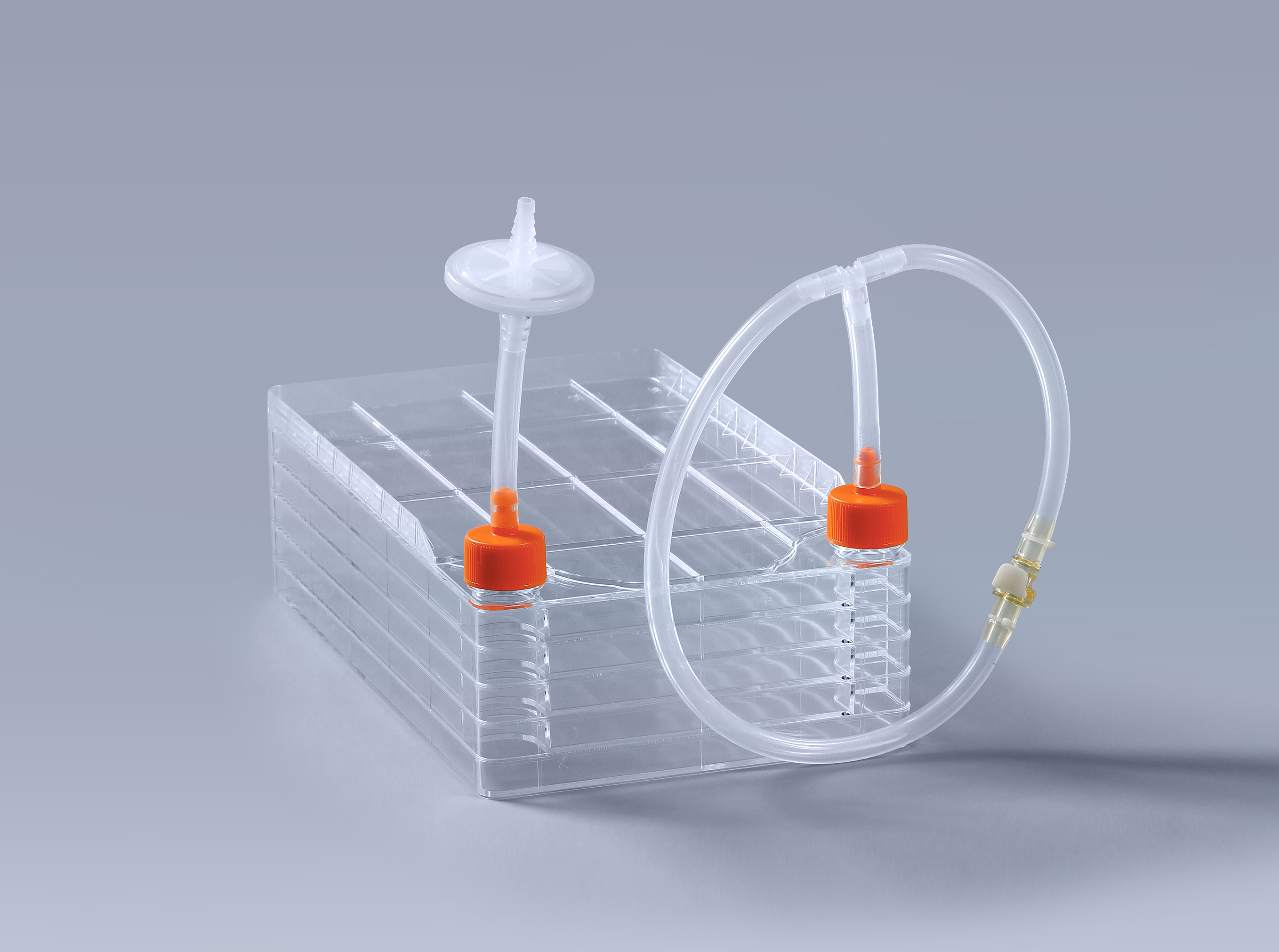 細胞工廠降低外源污染風險_富道細胞