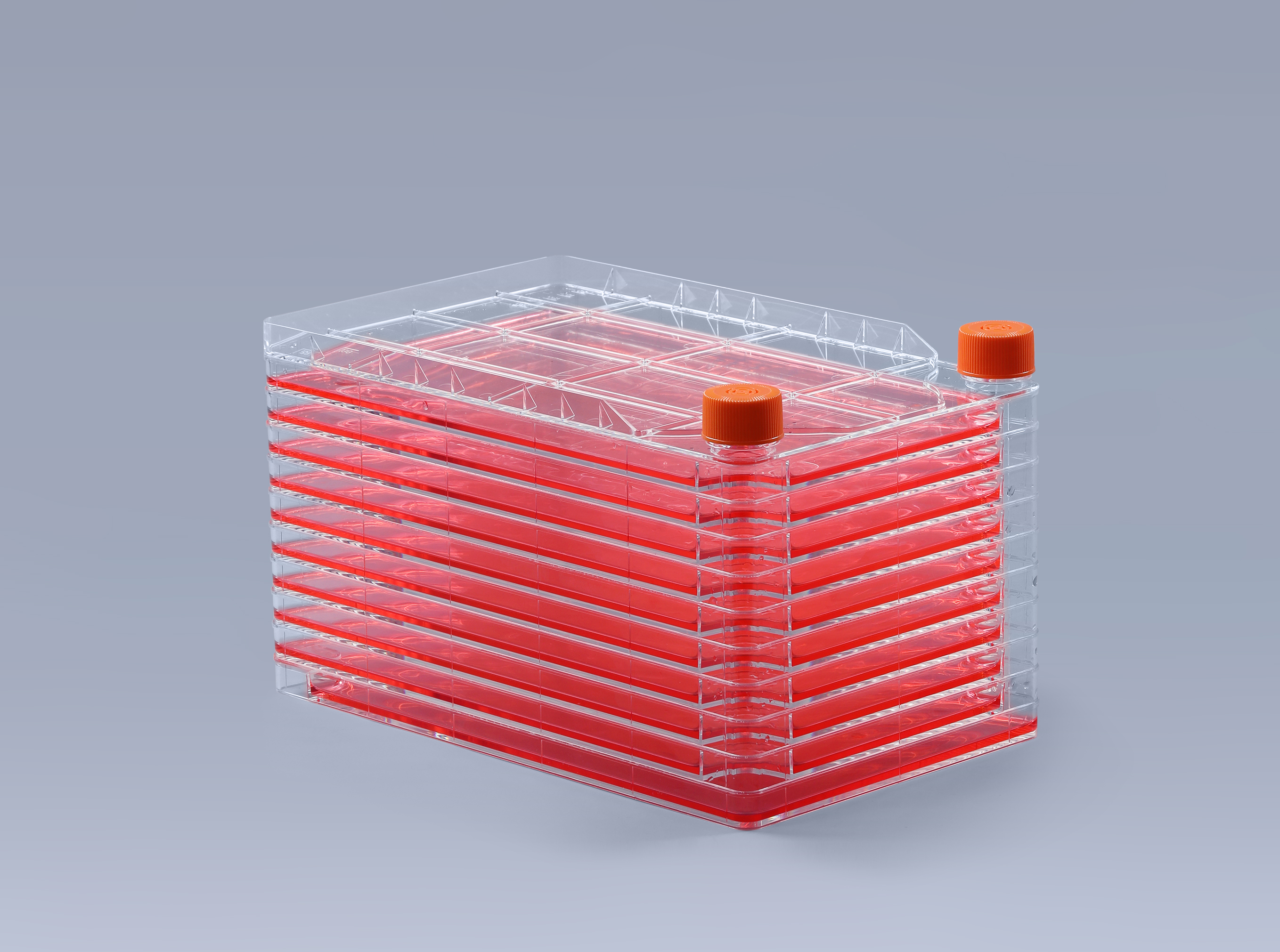 聆聽二十大-富道細(xì)胞貫徹助力生命科學(xué)發(fā)展企業(yè)責(zé)任_富道細(xì)胞 聆聽二十大-富道細(xì)胞貫徹助力生命科學(xué)發(fā)展企業(yè)責(zé)任_富道細(xì)胞