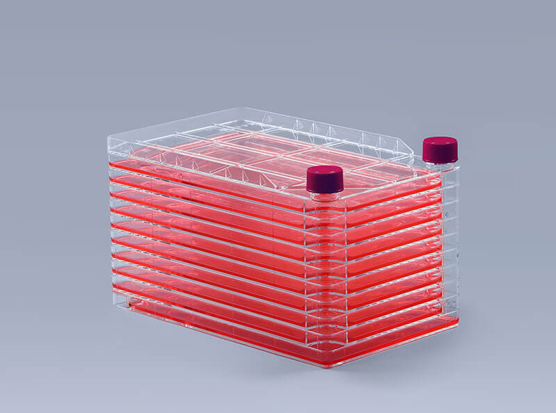 細(xì)胞工廠培養(yǎng)細(xì)胞時消化的方法_富道細(xì)胞