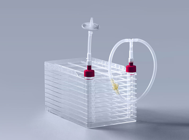 細(xì)胞工廠如何助力疫苗高效穩(wěn)定生產(chǎn)_富道細(xì)胞