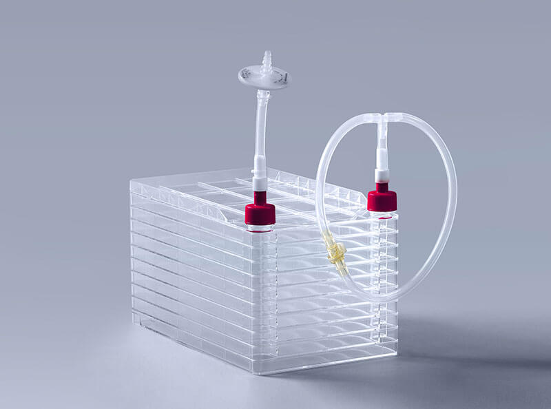 細(xì)胞工廠中常見(jiàn)的7種污染類(lèi)型以及特點(diǎn)（上）_富道細(xì)胞