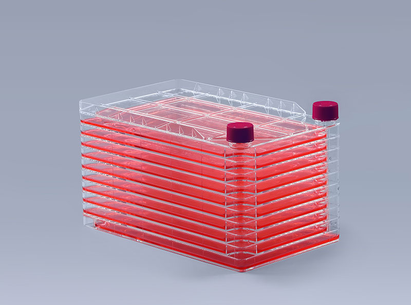 八點預防和控制細胞工廠發(fā)生支原體污染_富道細胞