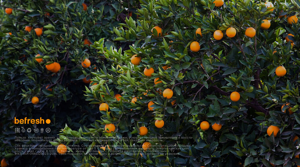 鮮果汁(圖2) 鮮果汁(圖2)