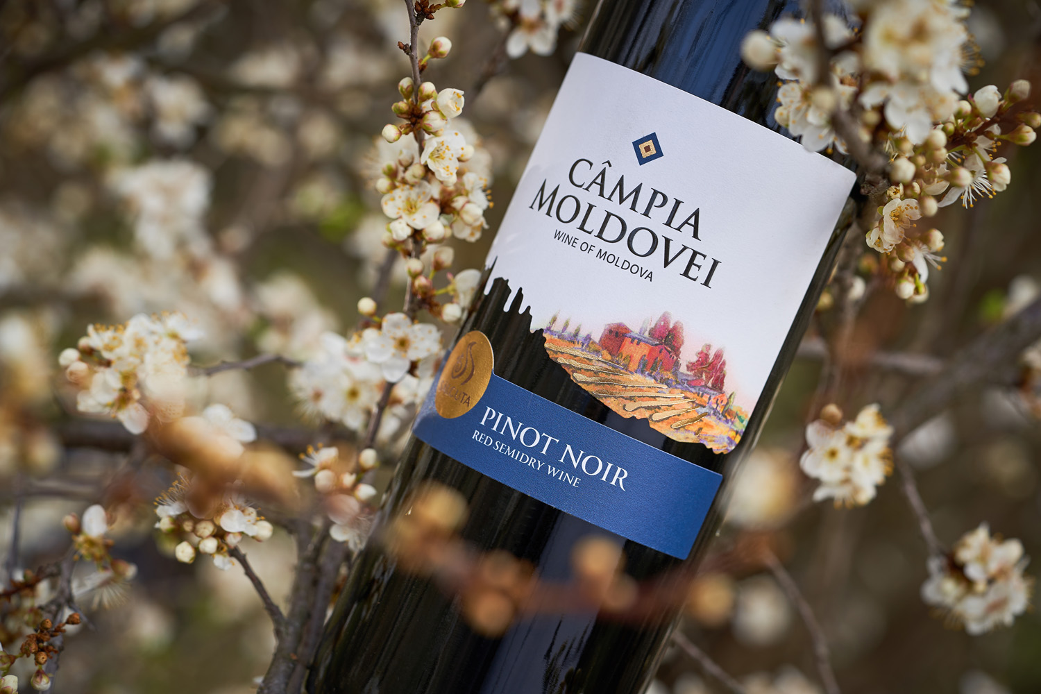 蘭州酒包裝設(shè)計公司(圖1)