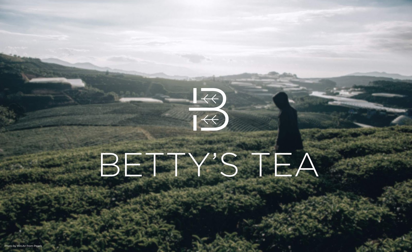 泰安茶葉包裝設(shè)計欣賞(圖1)