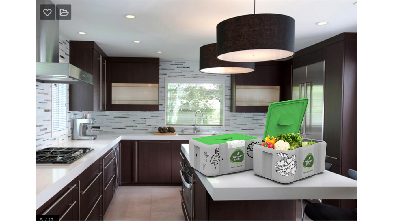 有機蔬菜外箱設(shè)計(圖5)