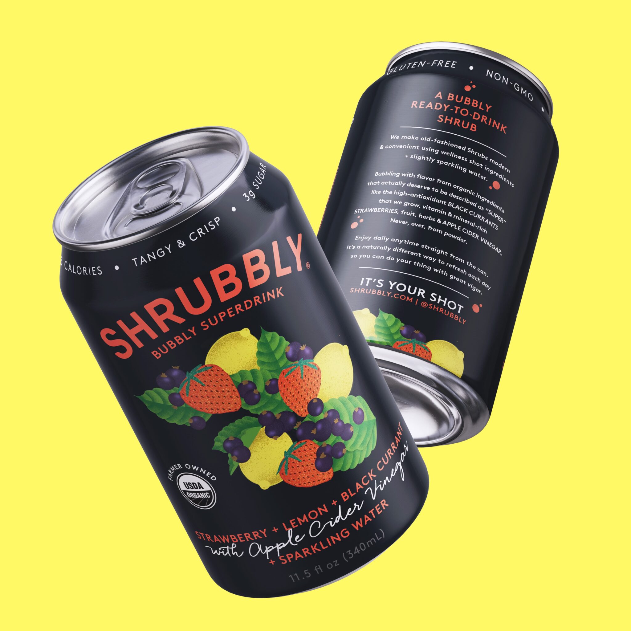  Shrubbly灌裝飲料包裝設計欣賞(圖1)