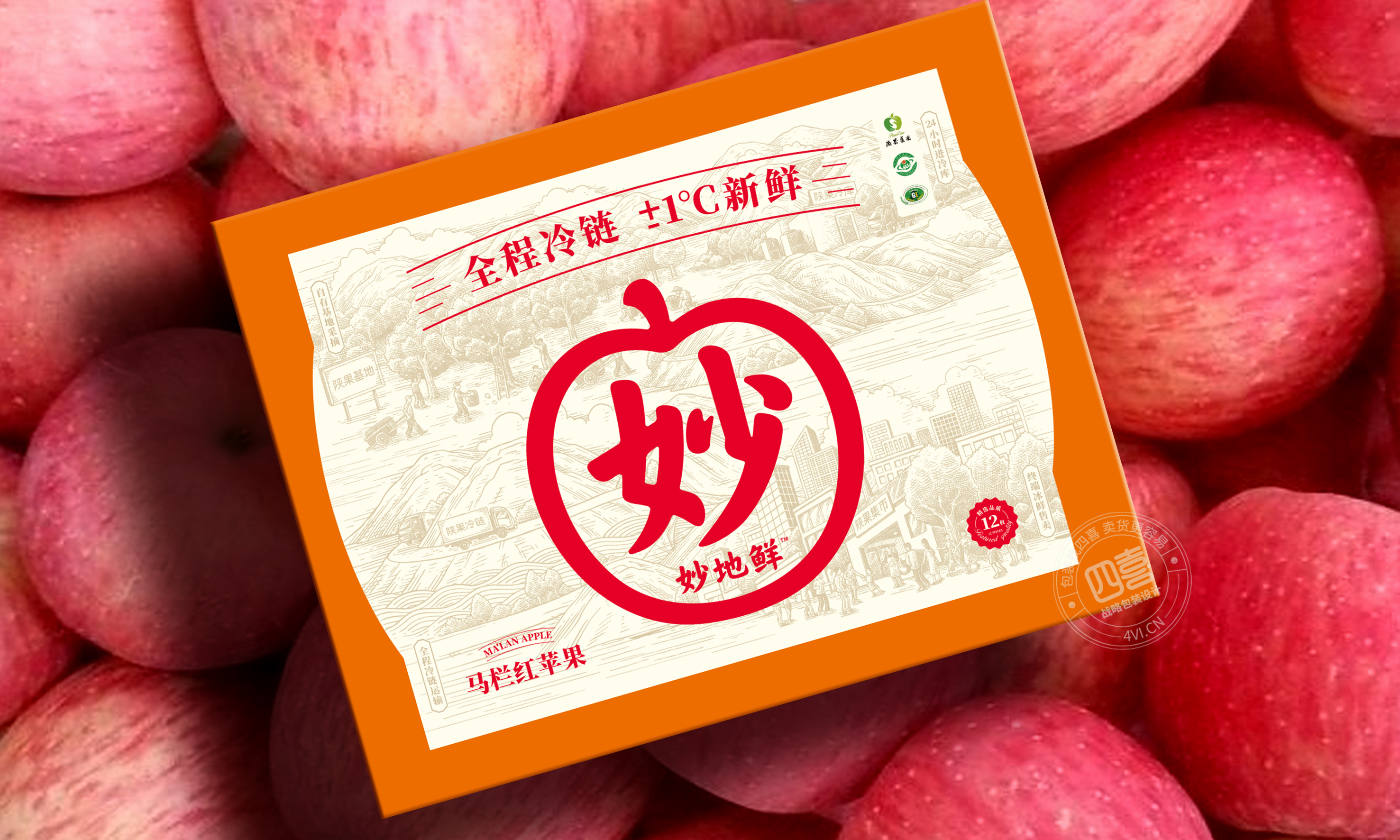 地方特產(chǎn)水果包裝如何設(shè)計(jì)來(lái)提升銷(xiāo)量(圖2)