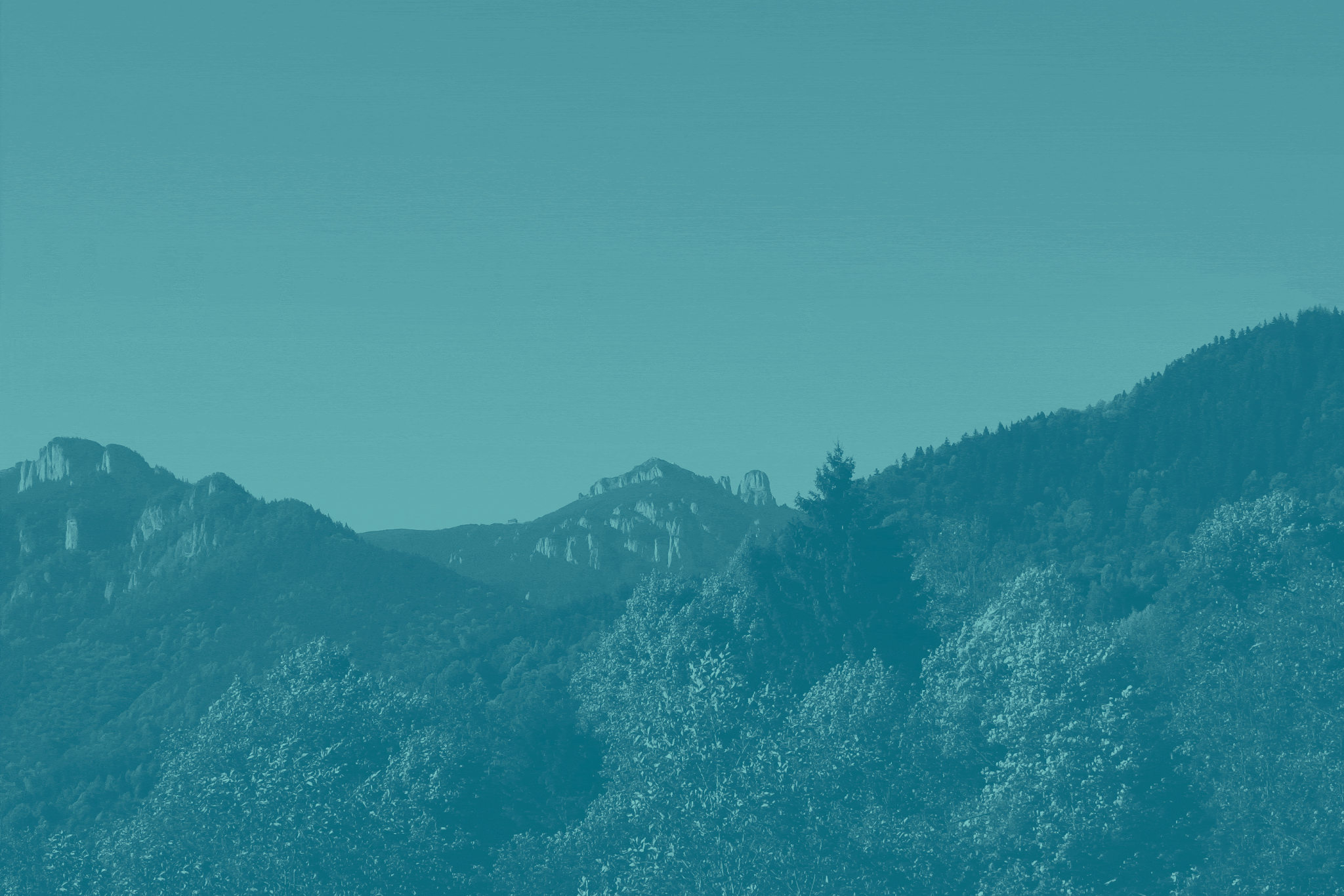 山脈樹的年輪概念的酒包裝設計(圖4) 山脈樹的年輪概念的酒包裝設計(圖4)