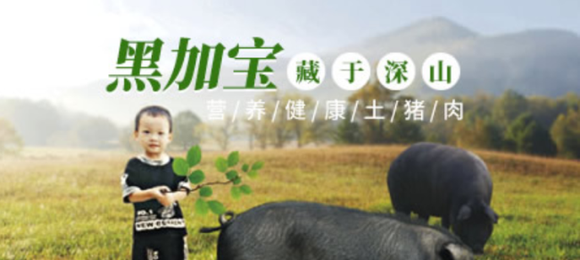 SBODY斯寶帝品牌logo與食品包裝設(shè)計(jì)欣賞(圖1)