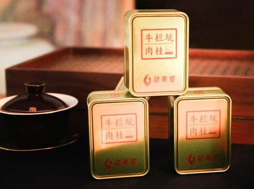 武夷星食品包裝設(shè)計欣賞(圖2)