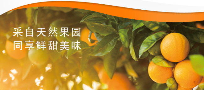 TONGFA同發(fā)食品包裝設(shè)計(jì)欣賞(圖2)