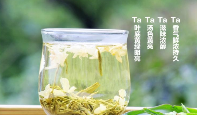 蜀濤茶業(yè) 蜀濤食品包裝設(shè)計(jì)欣賞(圖2)